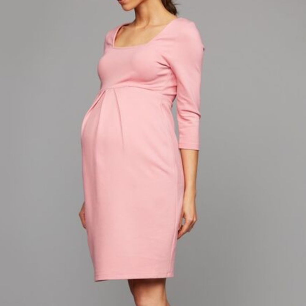NWT Isabella Oliver Paige Maternity Dress